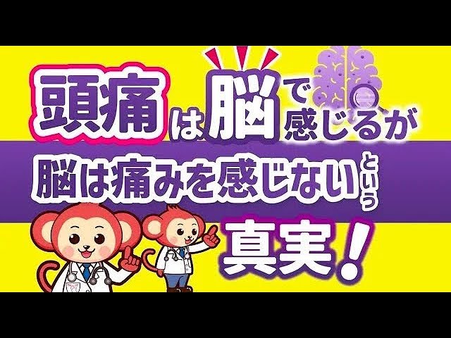 【院長】「頭痛の真実！」の動画をアップロードしました！の画像